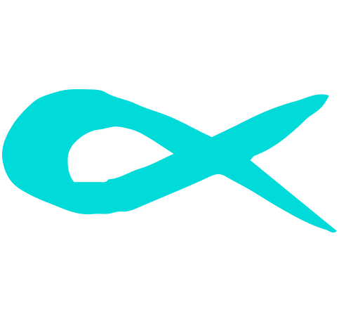 Canvas Logo